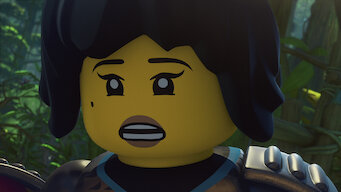 lego ninjago the quiet one